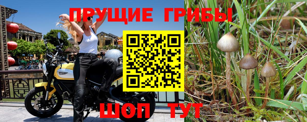 Туймазы  Галлюциногенные грибы мицелий  Вход с VPN 